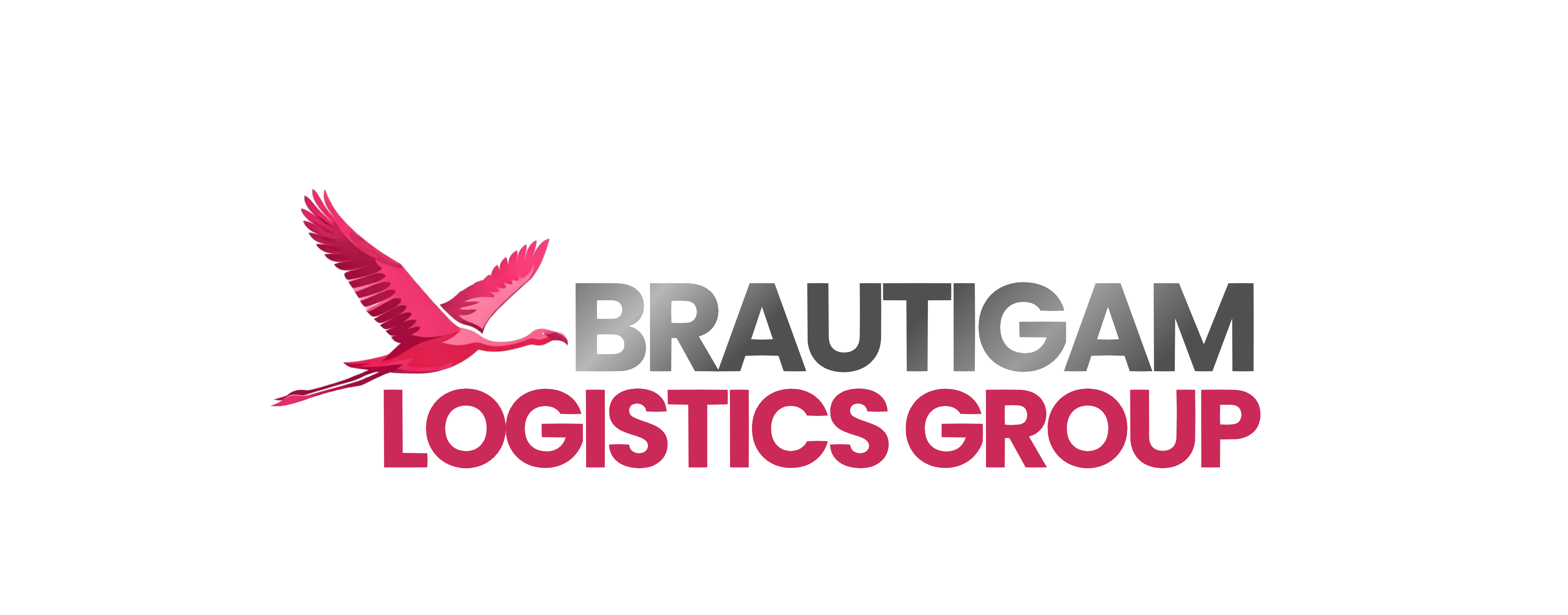 Brautigam Logistics Group